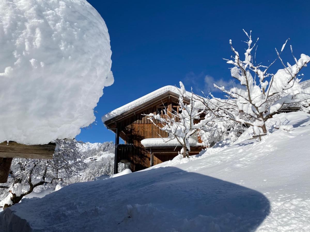 Chalet Christl Panorama Appartements Schruns Buitenkant foto